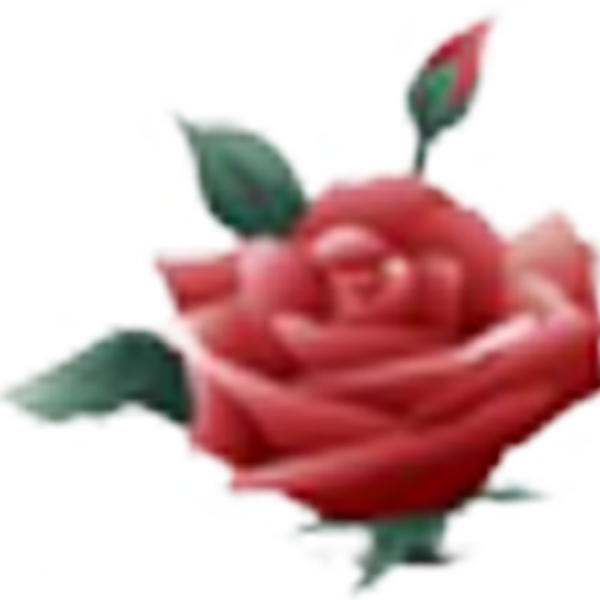 Rose-Icon-600x600
